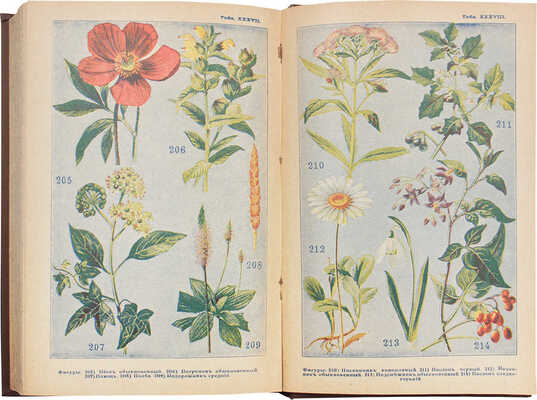 Полный русский иллюстрированный словарь-травник и цветник. [В 2 т.]. Т. 1-2. СПб.: Изд. А.А. Каспари, 1901.